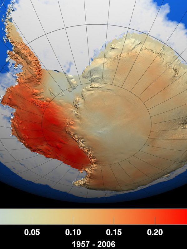 Antarctic surface temperature trends for 1957-2006