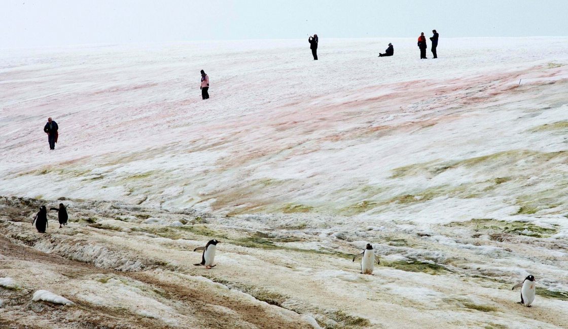 tourists exploring ice sheet