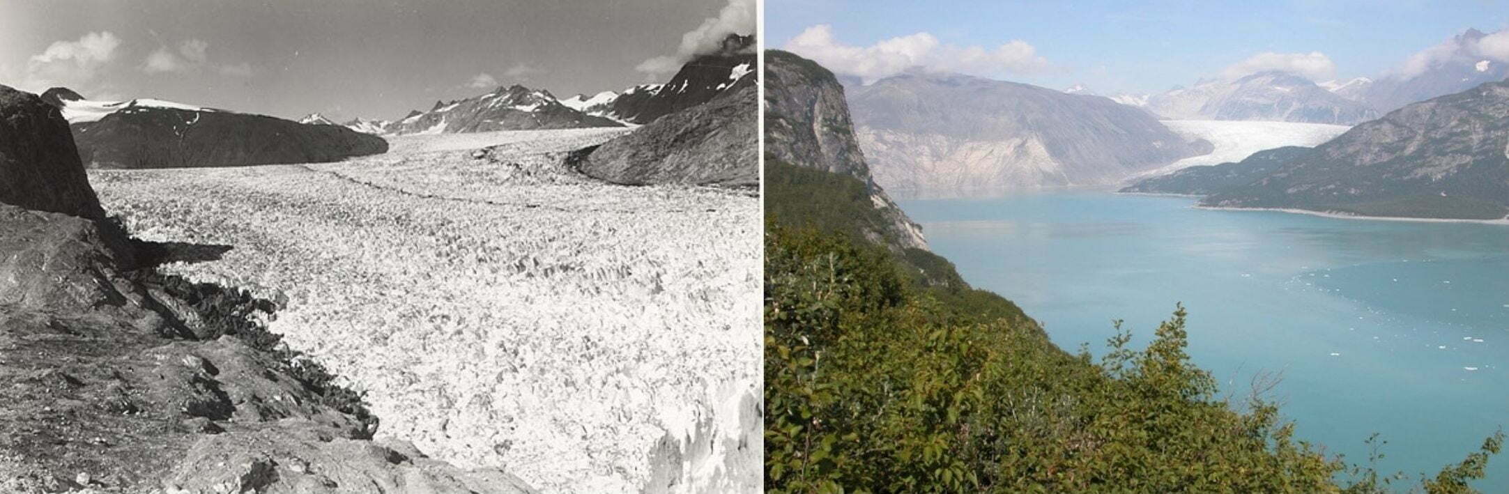 Muir Glacier, Alaska. Photographed by William Osgood in 1941 (left) and Bruce Molnia in 2004 (right). Images courtesy of NSIDC Glacier Photograph Collection.