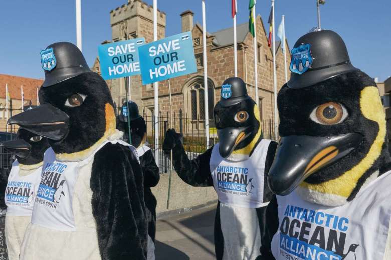 Penguins demonstrate outside CCAMLR's annual talks in Hobart, Tasmania.