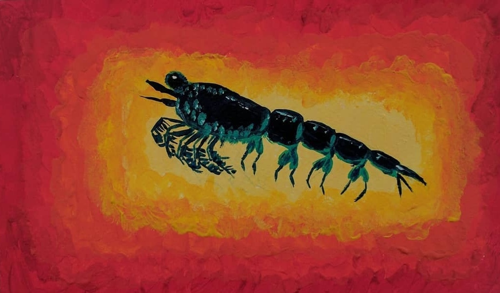 Keenan the krill painting by Emma Cavan